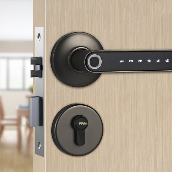 Smart Lock: Fingerprint & Password, Digital, Keyless Door Handle